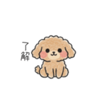 クレヨン画トイプー ブラウン（日常会話）（個別スタンプ：8）