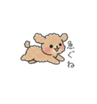 クレヨン画トイプー ブラウン（日常会話）（個別スタンプ：9）