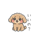 クレヨン画トイプー ブラウン（日常会話）（個別スタンプ：10）