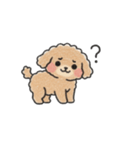 クレヨン画トイプー ブラウン（日常会話）（個別スタンプ：11）