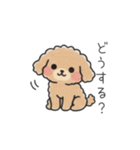 クレヨン画トイプー ブラウン（日常会話）（個別スタンプ：13）