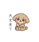 クレヨン画トイプー ブラウン（日常会話）（個別スタンプ：15）