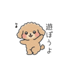 クレヨン画トイプー ブラウン（日常会話）（個別スタンプ：18）