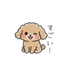 クレヨン画トイプー ブラウン（日常会話）（個別スタンプ：26）