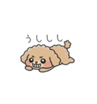 クレヨン画トイプー ブラウン（日常会話）（個別スタンプ：29）