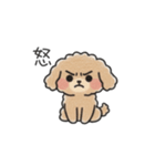 クレヨン画トイプー ブラウン（日常会話）（個別スタンプ：31）