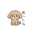 クレヨン画トイプー ブラウン（日常会話）（個別スタンプ：32）