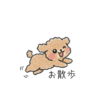 クレヨン画トイプー ブラウン（日常会話）（個別スタンプ：34）