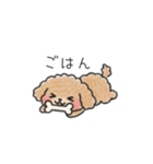 クレヨン画トイプー ブラウン（日常会話）（個別スタンプ：35）