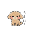 クレヨン画トイプー ブラウン（日常会話）（個別スタンプ：37）