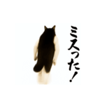 パリピ横揺れハチワレ（個別スタンプ：5）