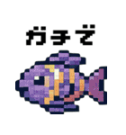 海の生物ドット絵 日々の挨拶スタンプ（個別スタンプ：1）