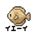 海の生物ドット絵 日々の挨拶スタンプ（個別スタンプ：16）