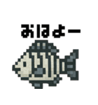 海の生物ドット絵 日々の挨拶スタンプ（個別スタンプ：21）
