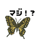 ドット虫の挨拶スタンプ（個別スタンプ：11）