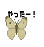 ドット虫の挨拶スタンプ（個別スタンプ：12）