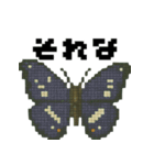 ドット虫の挨拶スタンプ（個別スタンプ：14）