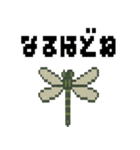 ドット虫の挨拶スタンプ（個別スタンプ：20）