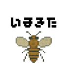 ドット虫の挨拶スタンプ（個別スタンプ：34）