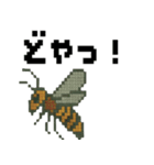 ドット虫の挨拶スタンプ（個別スタンプ：38）