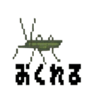 ドット虫の挨拶スタンプ（個別スタンプ：40）