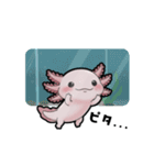 ウーパくん 育成2 リューシ（個別スタンプ：16）