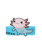 ウーパくん 育成2 リューシ（個別スタンプ：24）