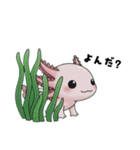 ウーパくん 育成2 リューシ（個別スタンプ：25）