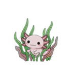 ウーパくん 育成2 リューシ（個別スタンプ：26）