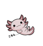 ウーパくん 育成2 リューシ（個別スタンプ：28）