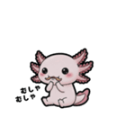 ウーパくん 育成2 リューシ（個別スタンプ：31）