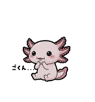 ウーパくん 育成2 リューシ（個別スタンプ：32）