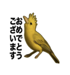 トサカトリの挨拶スタンプ（個別スタンプ：7）