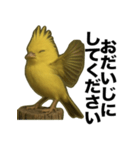 トサカトリの挨拶スタンプ（個別スタンプ：8）