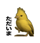 トサカトリの挨拶スタンプ（個別スタンプ：9）