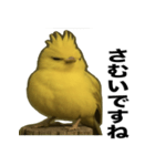 トサカトリの挨拶スタンプ（個別スタンプ：11）