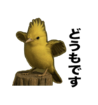 トサカトリの挨拶スタンプ（個別スタンプ：13）