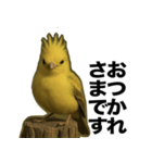 トサカトリの挨拶スタンプ（個別スタンプ：14）