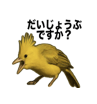 トサカトリの挨拶スタンプ（個別スタンプ：15）
