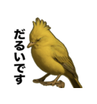 トサカトリの挨拶スタンプ（個別スタンプ：18）