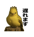 トサカトリの挨拶スタンプ（個別スタンプ：19）