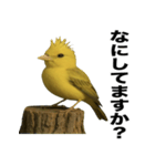 トサカトリの挨拶スタンプ（個別スタンプ：20）