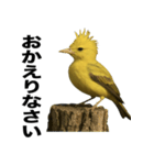 トサカトリの挨拶スタンプ（個別スタンプ：21）