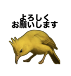 トサカトリの挨拶スタンプ（個別スタンプ：24）