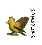 トサカトリの挨拶スタンプ（個別スタンプ：25）