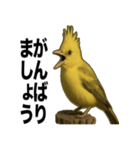 トサカトリの挨拶スタンプ（個別スタンプ：26）