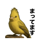 トサカトリの挨拶スタンプ（個別スタンプ：28）