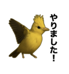 トサカトリの挨拶スタンプ（個別スタンプ：30）