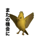 トサカトリの挨拶スタンプ（個別スタンプ：37）