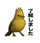 トサカトリの挨拶スタンプ（個別スタンプ：38）